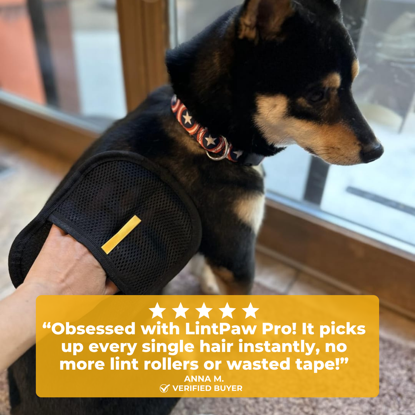 LintPaw Pro
